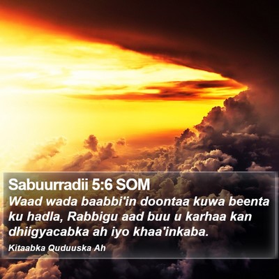 Sabuurradii 5:6 SOM Bible Verse Image