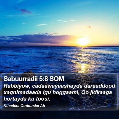 Sabuurradii 5:8 SOM Bible Verse Image