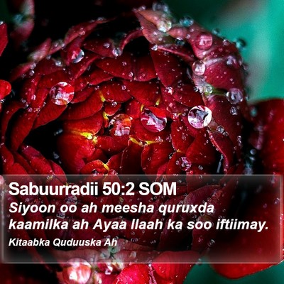 Sabuurradii 50:2 SOM Bible Verse Image