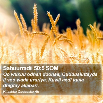 Sabuurradii 50:5 SOM Bible Verse Image