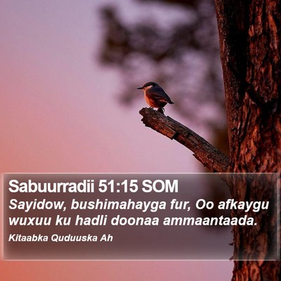 Sabuurradii 51:15 SOM Bible Verse Image