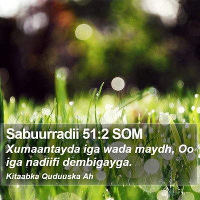 Sabuurradii 51:2 SOM Bible Verse Image