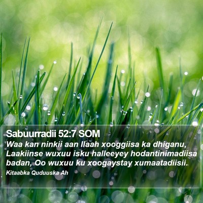 Sabuurradii 52:7 SOM Bible Verse Image