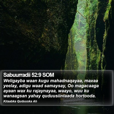 Sabuurradii 52:9 SOM Bible Verse Image