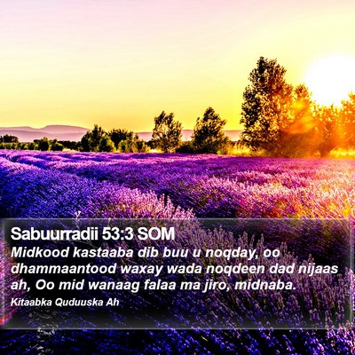 Sabuurradii 53:3 SOM Bible Verse Image