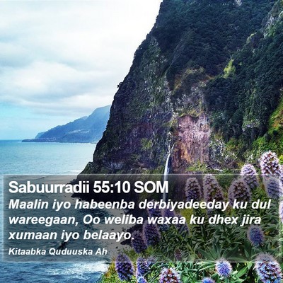 Sabuurradii 55:10 SOM Bible Verse Image