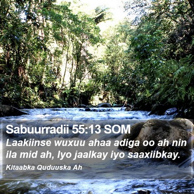 Sabuurradii 55:13 SOM Bible Verse Image