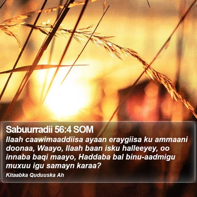 Sabuurradii 56:4 SOM Bible Verse Image