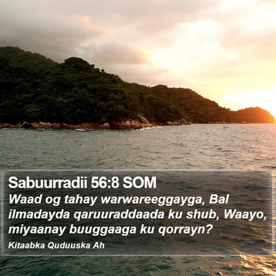 Sabuurradii 56:8 SOM Bible Verse Image