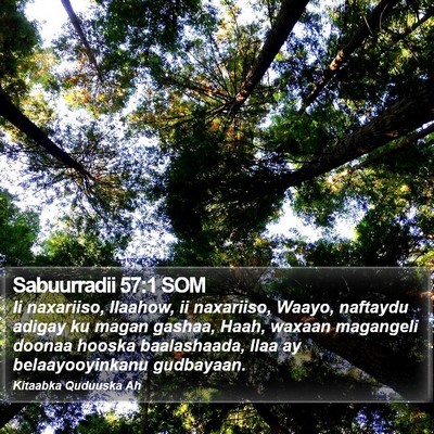 Sabuurradii 57:1 SOM Bible Verse Image