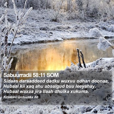 Sabuurradii 58:11 SOM Bible Verse Image