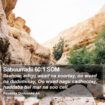 Sabuurradii 60:1 SOM Bible Verse Image