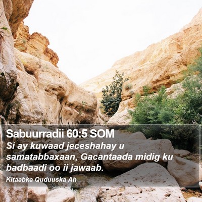 Sabuurradii 60:5 SOM Bible Verse Image