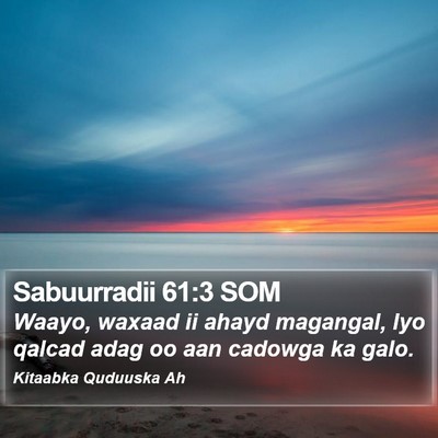 Sabuurradii 61:3 SOM Bible Verse Image
