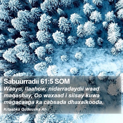 Sabuurradii 61:5 SOM Bible Verse Image