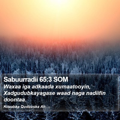 Sabuurradii 65:3 SOM Bible Verse Image