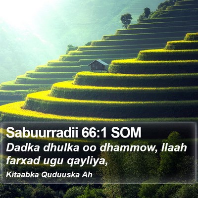 Sabuurradii 66:1 SOM Bible Verse Image
