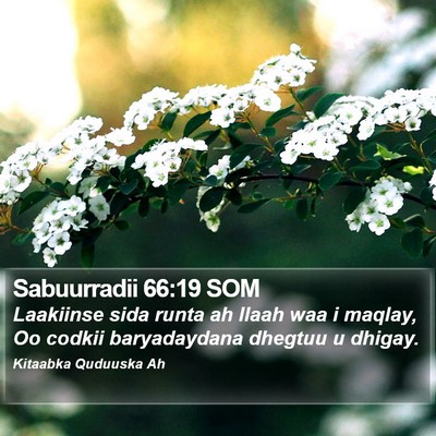 Sabuurradii 66:19 SOM Bible Verse Image