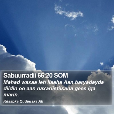 Sabuurradii 66:20 SOM Bible Verse Image