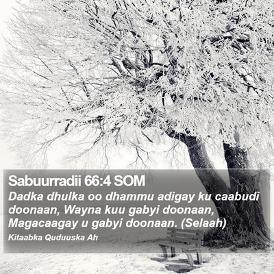 Sabuurradii 66:4 SOM Bible Verse Image