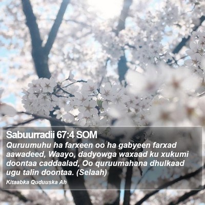 Sabuurradii 67:4 SOM Bible Verse Image