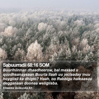 Sabuurradii 68:16 SOM Bible Verse Image