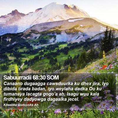 Sabuurradii 68:30 SOM Bible Verse Image