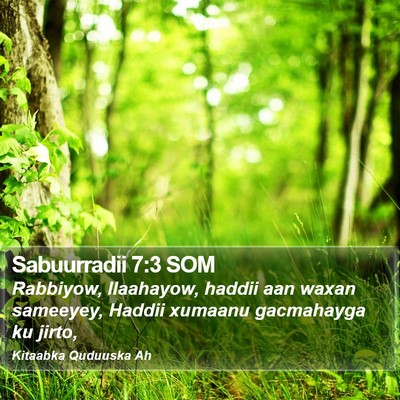 Sabuurradii 7:3 SOM Bible Verse Image