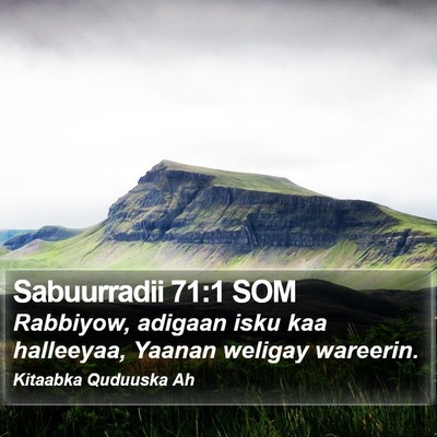 Sabuurradii 71:1 SOM Bible Verse Image