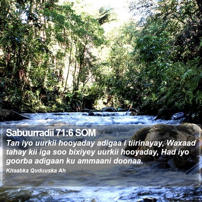 Sabuurradii 71:6 SOM Bible Verse Image