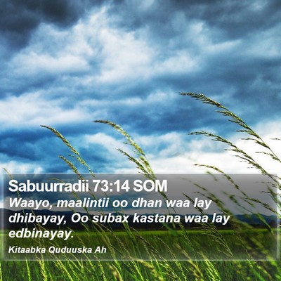 Sabuurradii 73:14 SOM Bible Verse Image