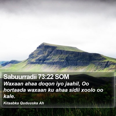 Sabuurradii 73:22 SOM Bible Verse Image