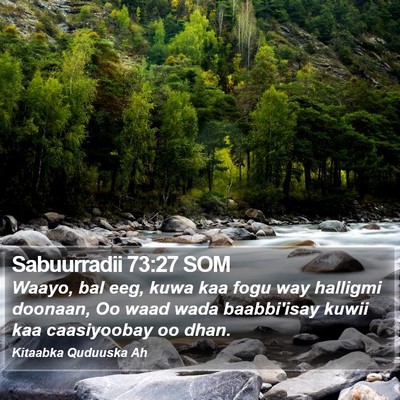 Sabuurradii 73:27 SOM Bible Verse Image