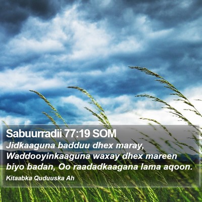 Sabuurradii 77:19 SOM Bible Verse Image