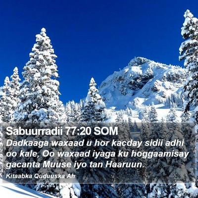 Sabuurradii 77:20 SOM Bible Verse Image