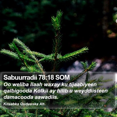 Sabuurradii 78:18 SOM Bible Verse Image