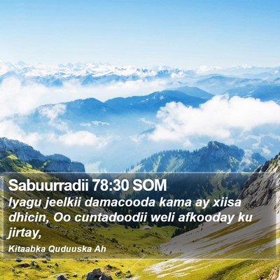 Sabuurradii 78:30 SOM Bible Verse Image