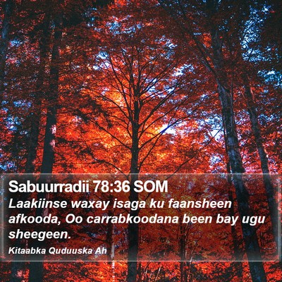 Sabuurradii 78:36 SOM Bible Verse Image