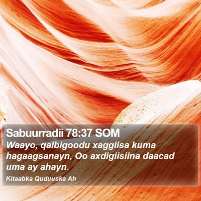 Sabuurradii 78:37 SOM Bible Verse Image