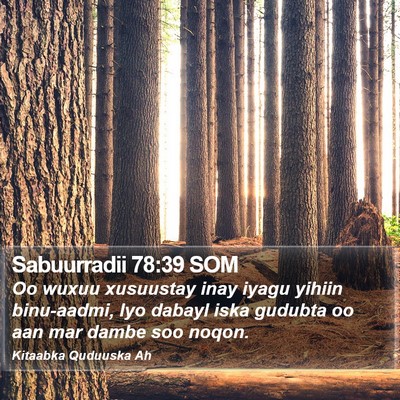 Sabuurradii 78:39 SOM Bible Verse Image