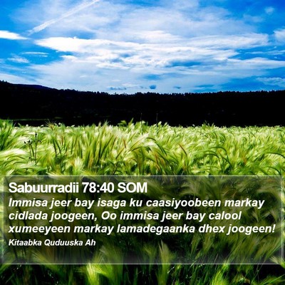Sabuurradii 78:40 SOM Bible Verse Image