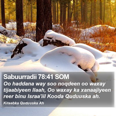 Sabuurradii 78:41 SOM Bible Verse Image