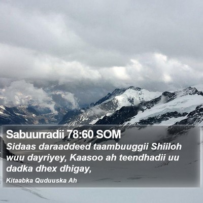 Sabuurradii 78:60 SOM Bible Verse Image