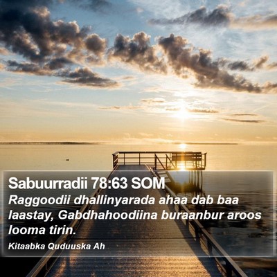 Sabuurradii 78:63 SOM Bible Verse Image