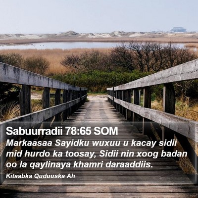 Sabuurradii 78:65 SOM Bible Verse Image