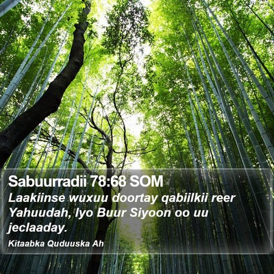 Sabuurradii 78:68 SOM Bible Verse Image