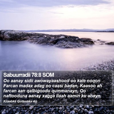 Sabuurradii 78:8 SOM Bible Verse Image