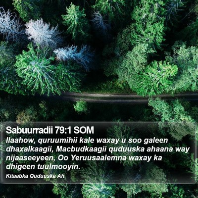 Sabuurradii 79:1 SOM Bible Verse Image