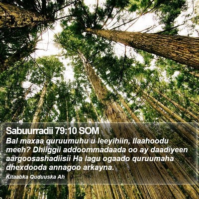 Sabuurradii 79:10 SOM Bible Verse Image