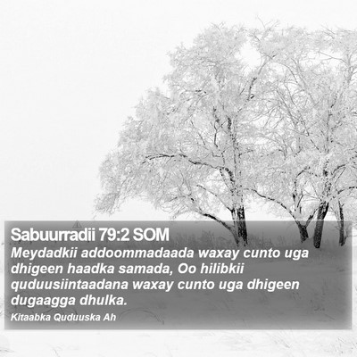 Sabuurradii 79:2 SOM Bible Verse Image